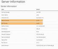 Web hosting account server info