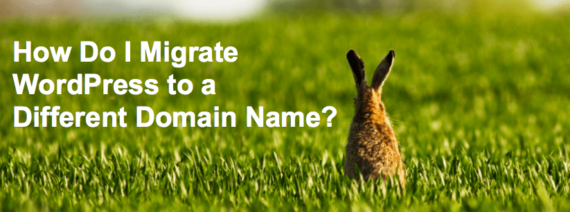 How Do I Migrate WordPress to a Different Domain Name?
