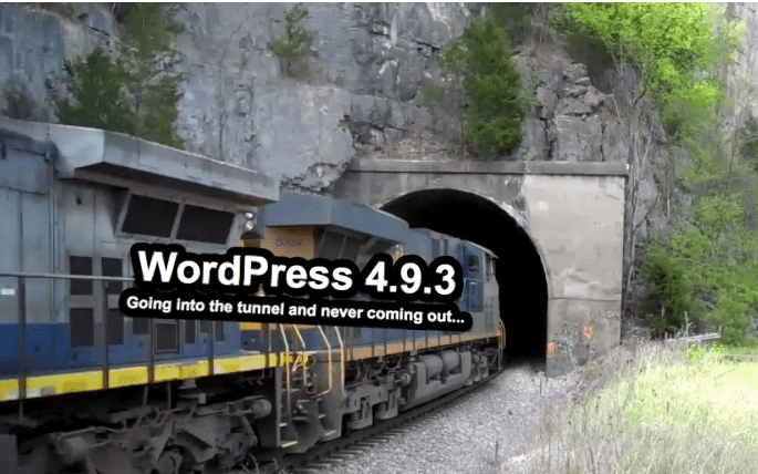 Going into the WordPress 4.9.3 version tunnel