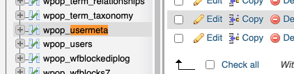 WordPress Database Usermeta Table