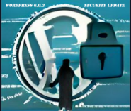 WordPress 6.0.3 Security Update